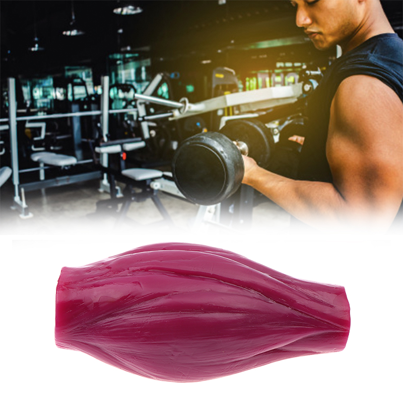 1ポンドの筋肉で健康維持＆減量モチベーションを高めるためのフ - Nutrition Fitness Course のレビューと価格